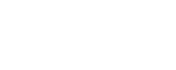 logo ICEBERG